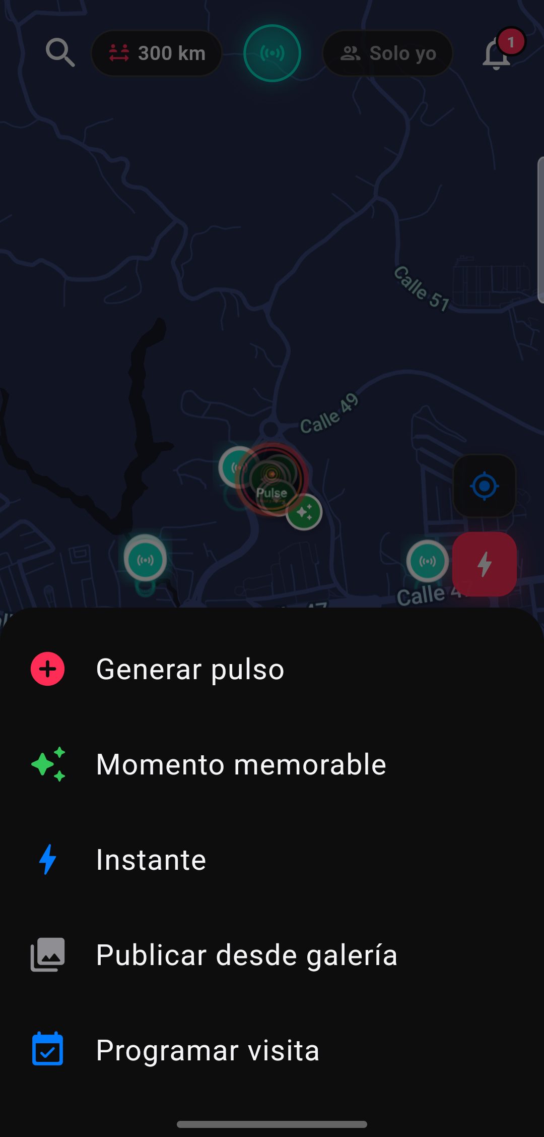 Tipos de publicación